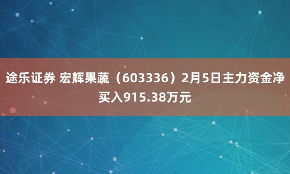 途乐证券 宏辉果蔬（603336）2月5日主力资金净买入915.38万元