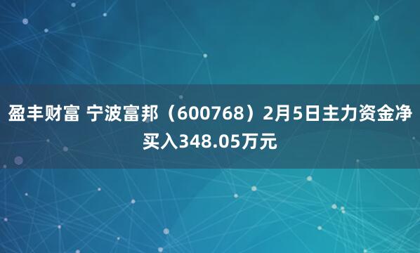 盈丰财富 宁波富邦（600768）2月5日主力资金净买入348.05万元